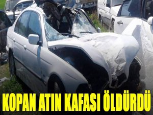 Atın kopan kafası,sürücüyü öldürdü