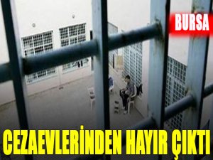 Cezaevinden 'hayır' oyu çıktı