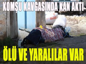 Komşu kavgası kanlı bitti