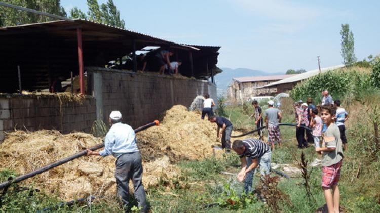 Samanlık yandı