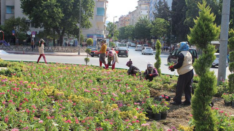 Hatay Büyükşehir Belediyesi kavşakları çiçeklendiriyor