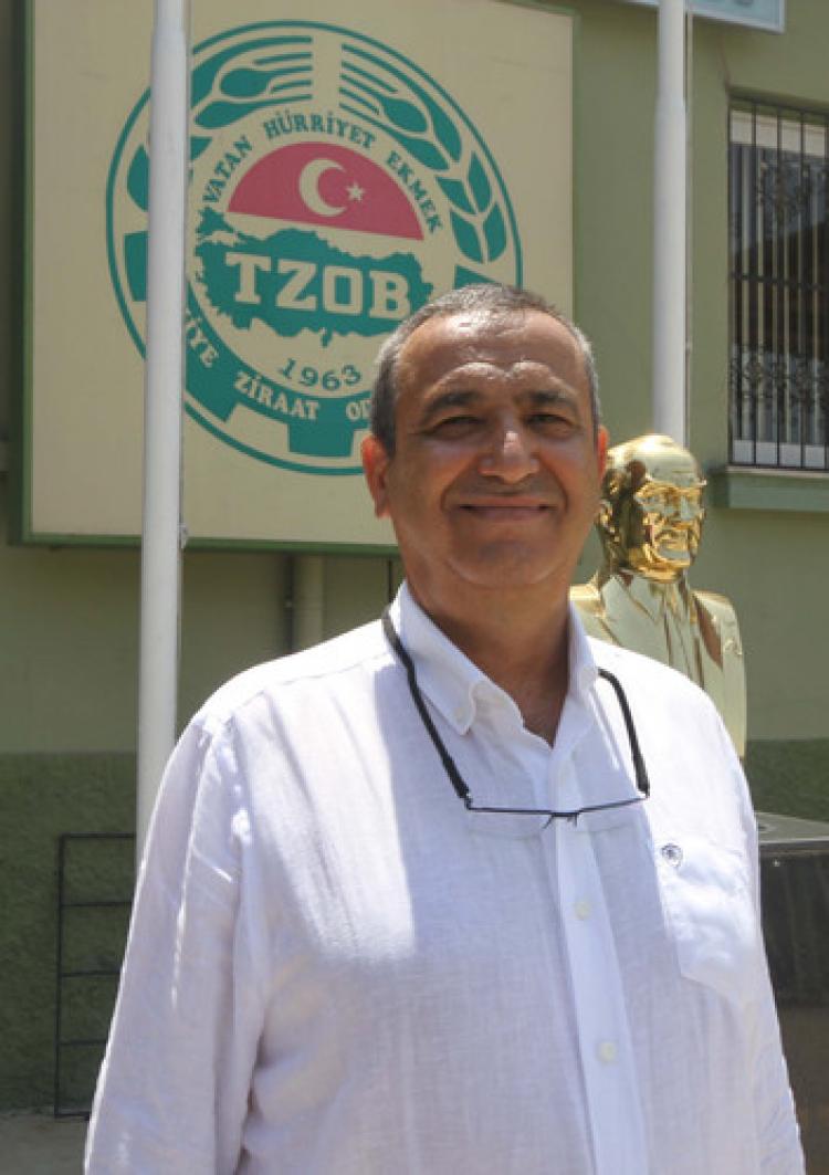 Pamuğun ekim alanları daraldı