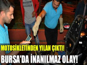 Bursa'da inanılmaz olay!