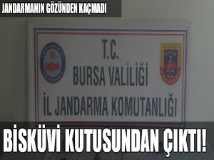 Bursa'da jandarma operasyonu!