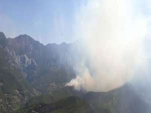 Alanya'da orman yangını