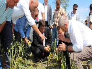 Bursa'da çiftçiler KHK çıkarılmasını istedi