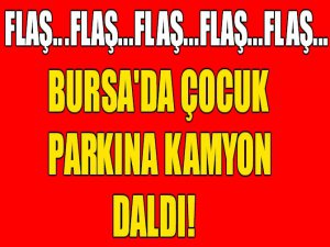 Bursa'da çocuk parkına kamyon daldı!