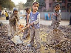 Türkiye’de çocuk işçiliği ile mücadelenin 20 yılı