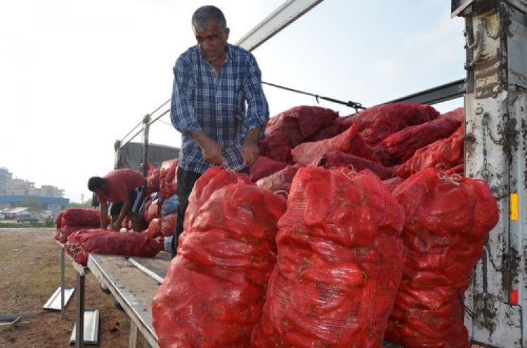 Salçalık biber sezonu açıldı