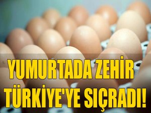 Türkiye'ye sıçradı!