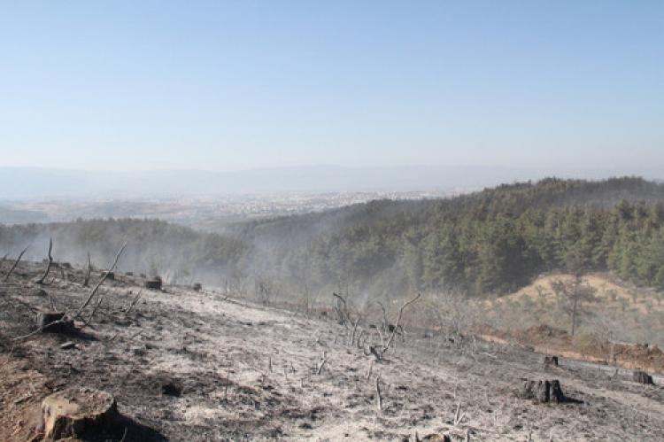 Bursa'da soğutma çalışmaları sürüyor