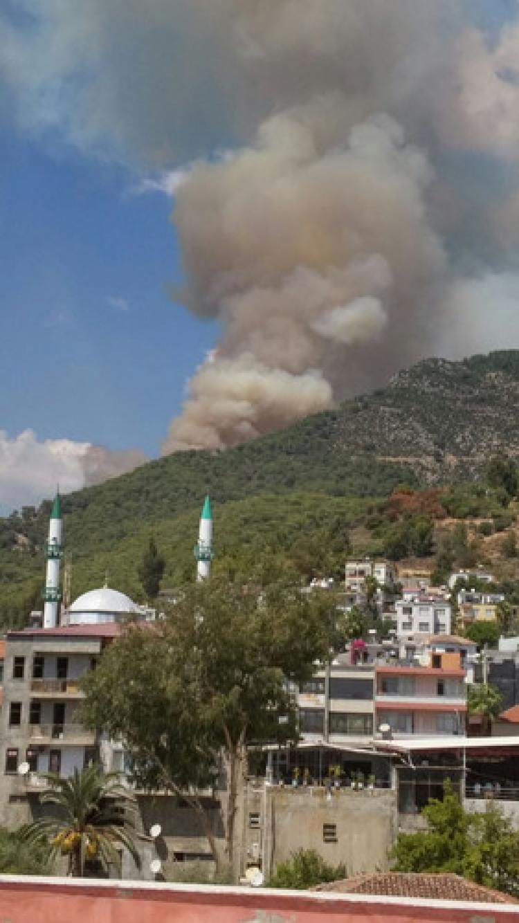 Mersin'de orman yangını