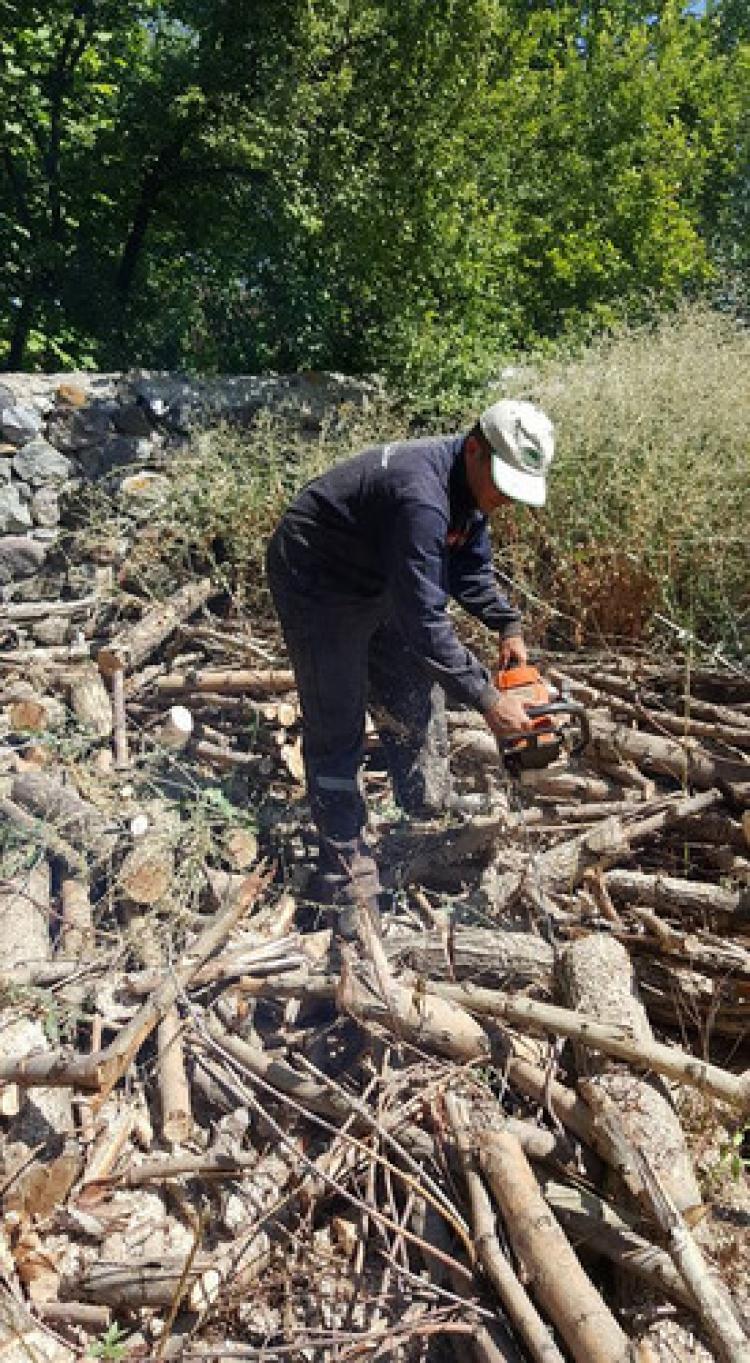 Kışın yakacakları odunları şimdiden hazırlıyorlar