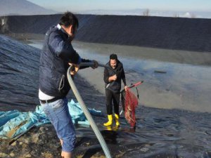 Bursa'da tilki operasyonu