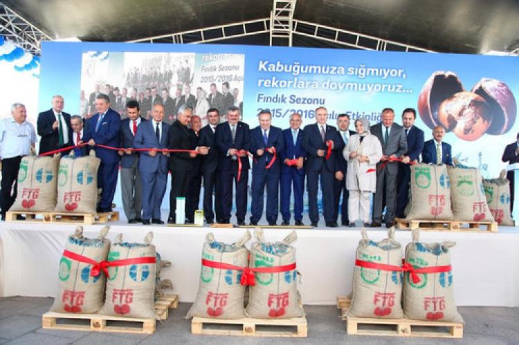 Fındık ihracatçısının rekolte tahmini 700 bin ton