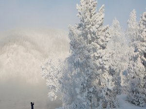 -30 derecede böyle hayatta kaldı!