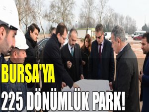 Büyükşehir’den Yıldırım’a 225 dönümlük park