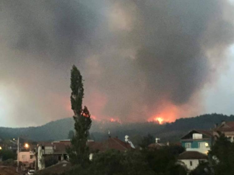 Bursa'daki yangın Meclis gündeminde