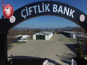 Çiftlik bank oyunuyla yarım milyarlık vurgun!