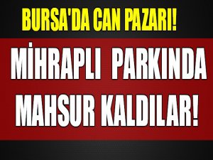 Bursa'da can pazarı!