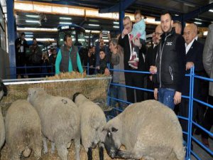 Karacabey Gıda, Tarım ve Hayvancılık Fuarı açıldı