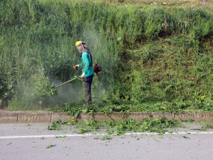 Mudanya'da bahar temizliği başladı!