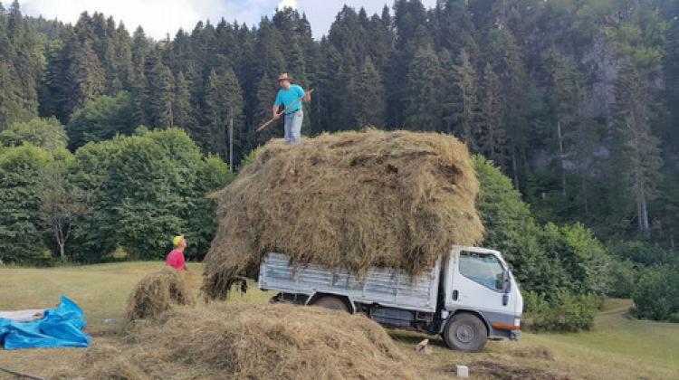Artvin'de yaylacıların kış hazırlıkları sürüyor