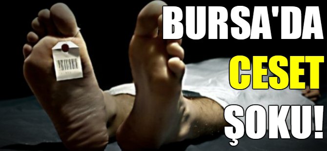 Bursa'da ceset şoku!