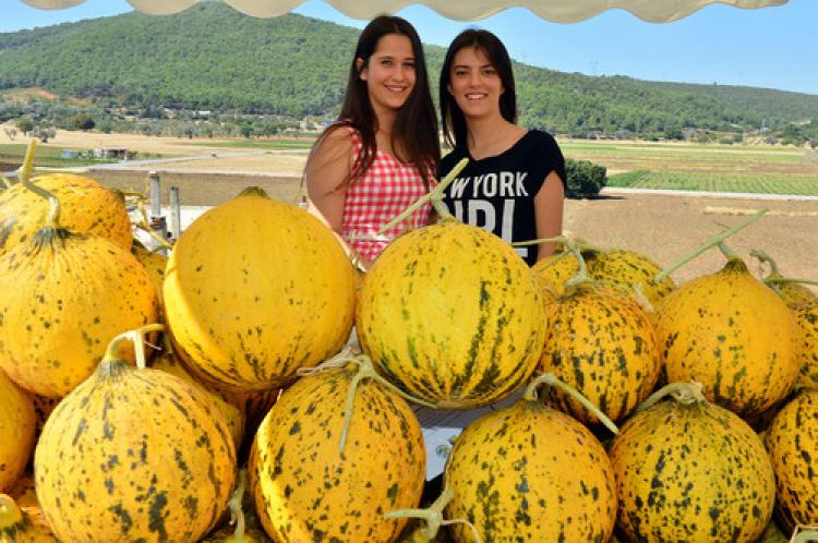 Kavun Festivali başladı