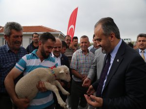 Koyun yetiştiricisine büyük destek!