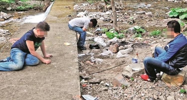 Bonzai kabusu artarak devam ediyor