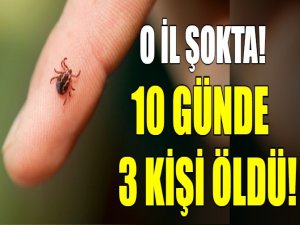 10 gün içinde keneden üçüncü ölüm