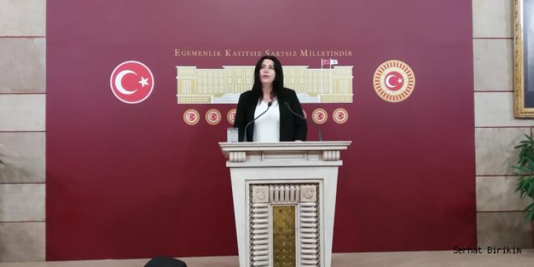 HDP Milletvekili Özanlı, serbest bırakıldı