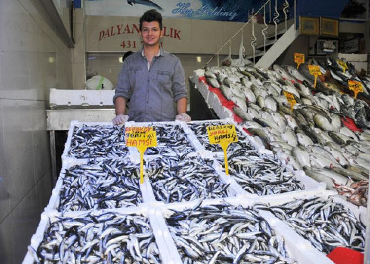 Hamsinin fiyatı yarı yarıya düşü