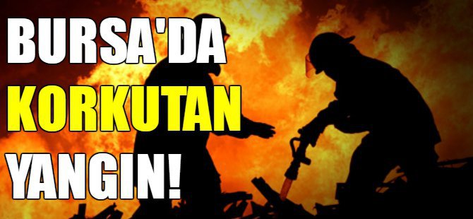Bursa'da korkutan yangın