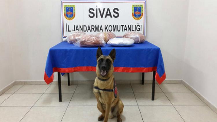Salçaya sarılı kubar esrar maddesi ele geçirildi