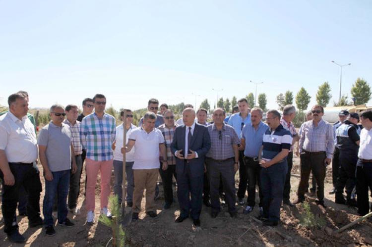 Yeni Mahalle Belediye Başkanı Yaşar, zabıtalarla birlikte ağaç dikti