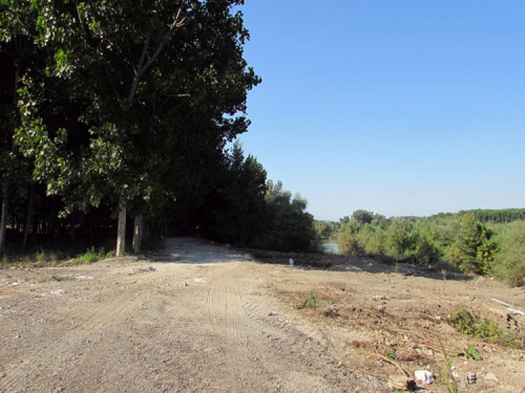 Sakarya Nehri kıyısı temizleniyor