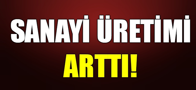 Sanayi üretimi arttı