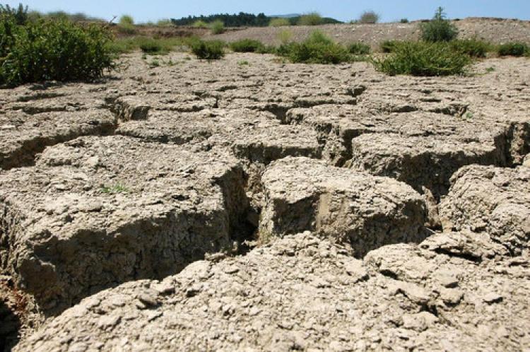 Bir çift ayakkabı için, 8 bin litre su harcanıyor