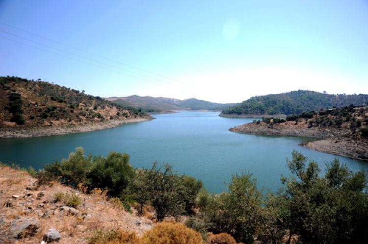 Yüzen güneş enerji santrali kurulacak