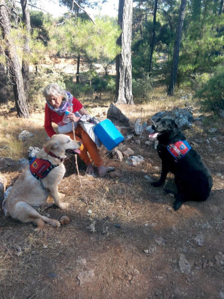 Kayıp yaşlı kadın ormanda bulundu