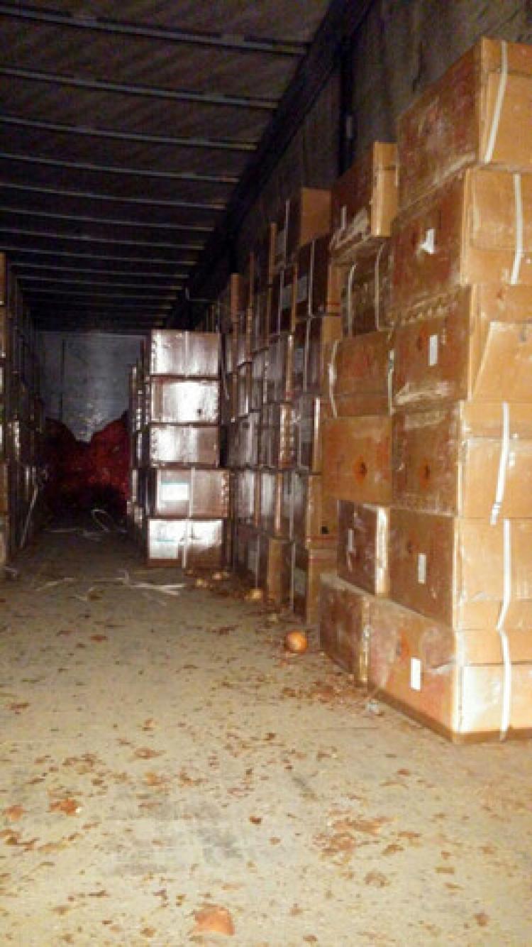 Soğan yüklü TIR içinde 5.5 ton patlayıcı ele geçirildi