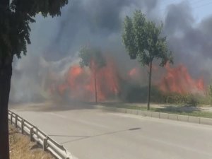 Bursa'da orman yangınında son gelişme!
