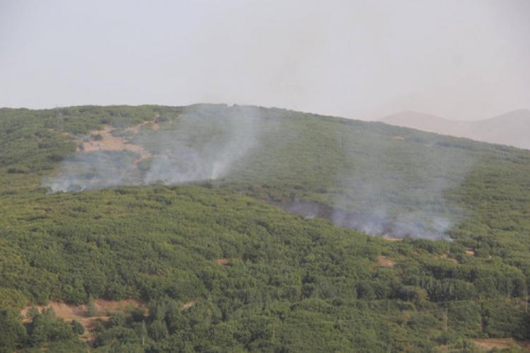 Tatvan’da PKK'ya operasyon