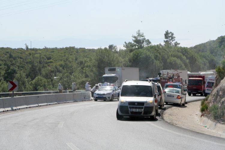 Arılar önüne geleni soktu, yol kapandı