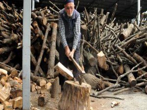 Bursa'daki oduncu dede gençlere taş çıkartıyor!