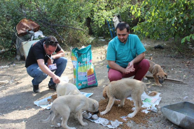 Akçatekir’deki sokak hayvanlarına beslenme ve tedavi desteği