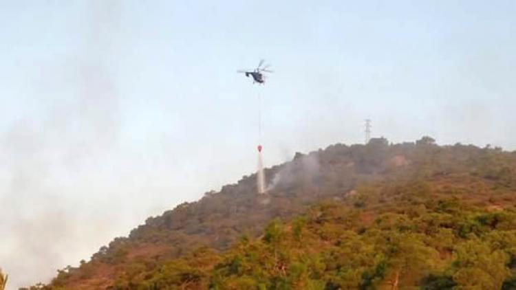 Altınoluk'taki orman yangını kontrol altına alındı