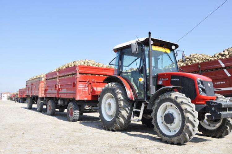 500 bin ton şeker pancarı alacak